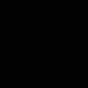 Meet your Posher, Ian